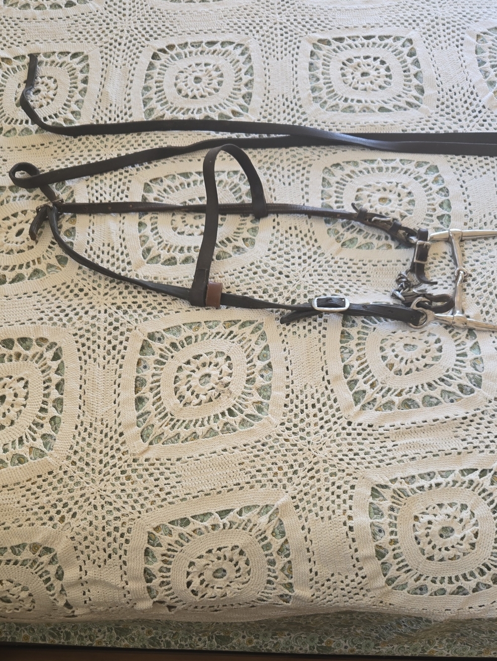 Brown Leather Horse Bit with Silver Hardware ^ Reins BB-3
